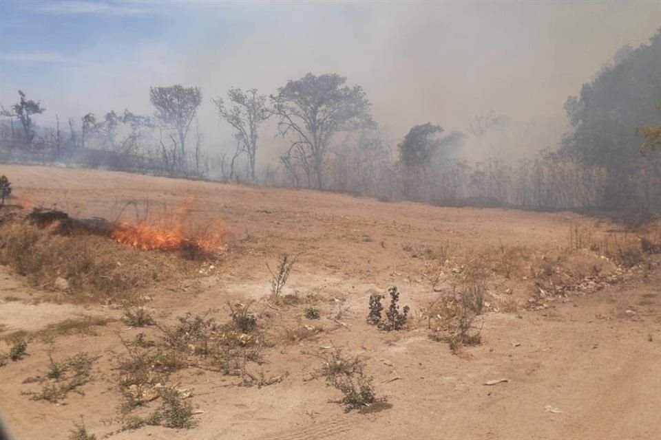 El incendio afectó Área Nacional Protegida.