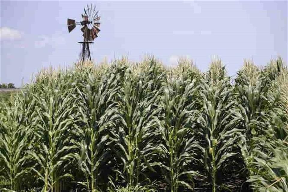 Organizaciones campesinas como 'Amigos por el Campo' ya se pronunciaron a favor de la liberación del líder campesino.