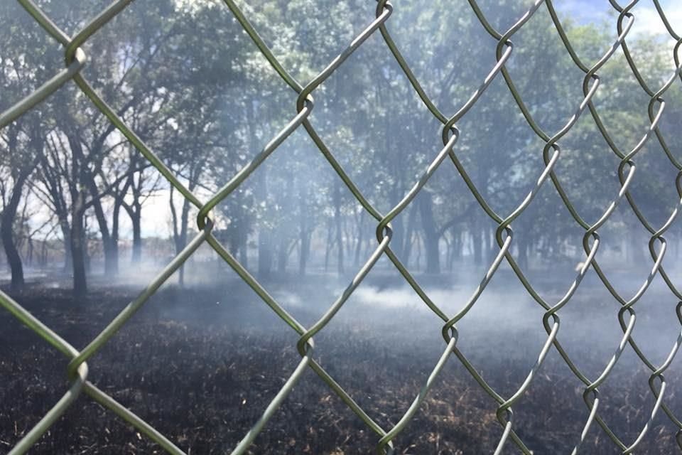 El 28 de abril el predio sufrió un incendio que afectó a 500 árboles adultos.
