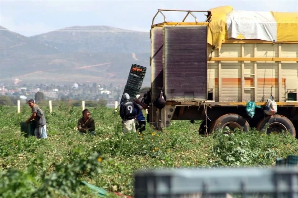 El sulfato de amonio es el segundo agroquímico de mayor uso en los surcos nacionales y el Gobierno le impuso un arancel del 35 por ciento en mayo pasado. 