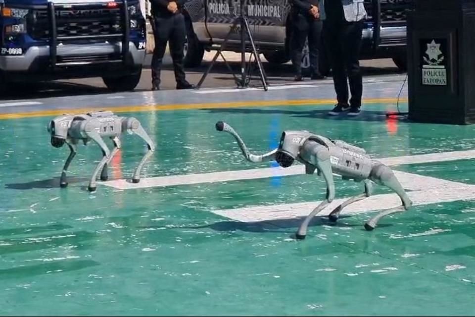 Los perros robots pesan 15 kilos, tienen una altura de 70 centímetros.