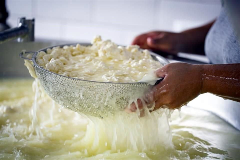 Aunado a la participación de otros países vecinos del sur del continente, la copa destacó de otras competencias internacionales por la gran variedad de producto brasileño disponible.