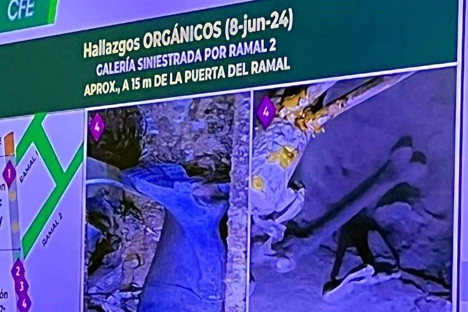 La titular de Segob puntualizó que por lo menos en esa zona, donde fueron hallados los restos humanos, no existió una explosión como pensaban las viudas.