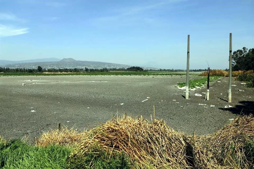 ÁRIDO. Hace apenas tres meses, esta zona del Área Natural Protegida era un espejo de agua. Hoy sólo queda tierra seca.