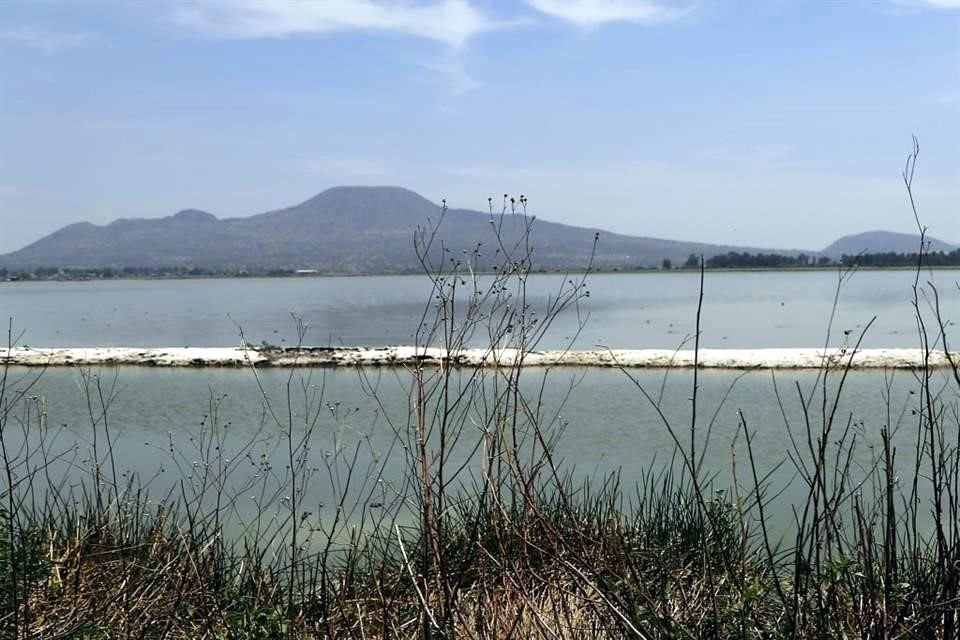 En el área principal de la Laguna comienzan a verse zonas de tierra.