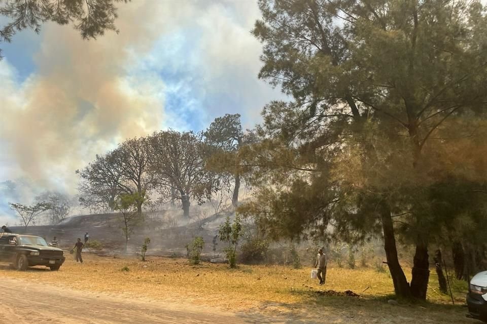 935 hectáreas del bosque de la Sierra del Tigre se han visto afectados por el incendio forestal.