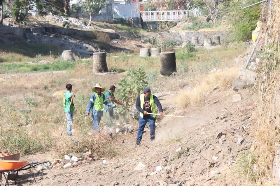 La Dirección de Parques y Jardines realizó más de 25 mil podas preventivas y eliminaron alrededor de 2 mil 800 árboles secos.
