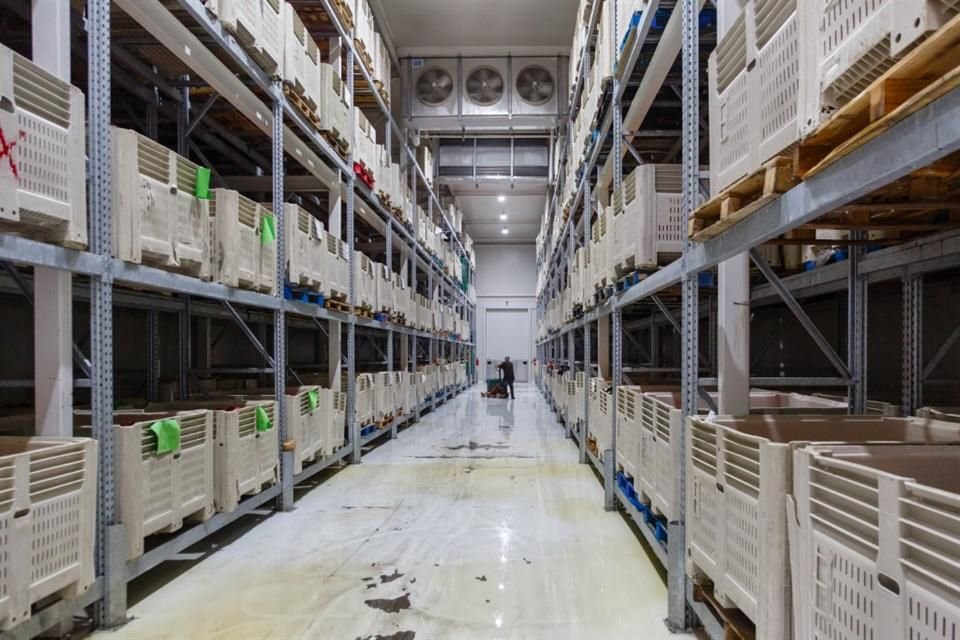 Los paquetes son de aproximadamente 21 kilogramos, de la canasta básica.