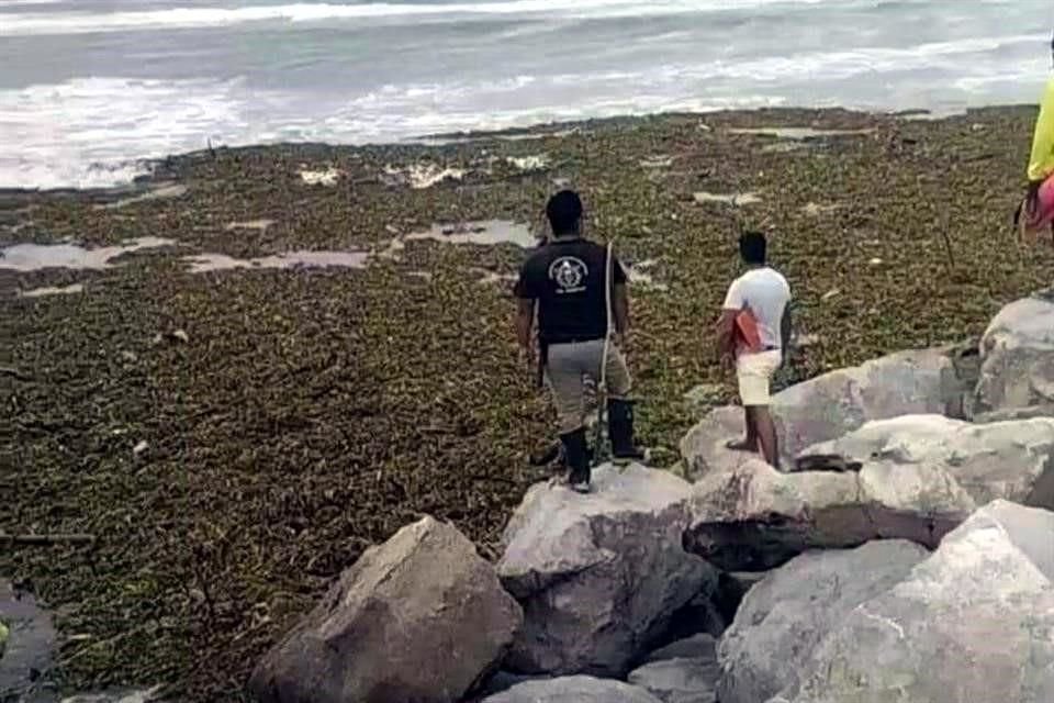 Turistas y visitantes tuvieron que desalojar la playa por su seguridad.