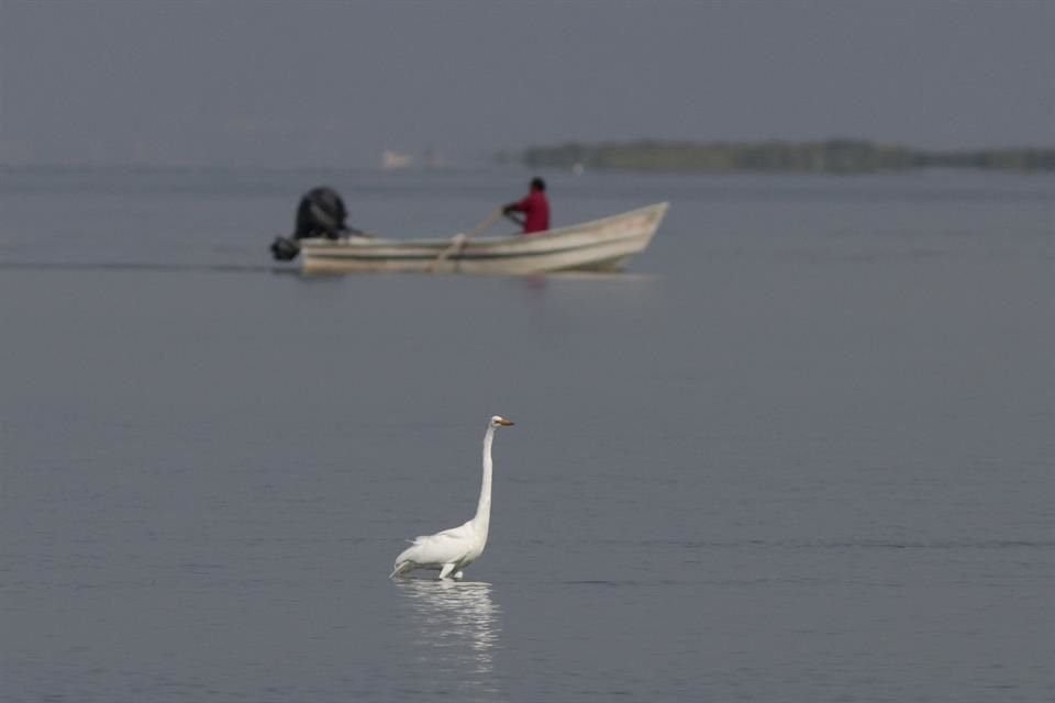 El Lago de Chapala, principal fuente de abasto de agua de la Zona Metropolitana de Guadalajara, subió 3 centímetros en últimos tres días.