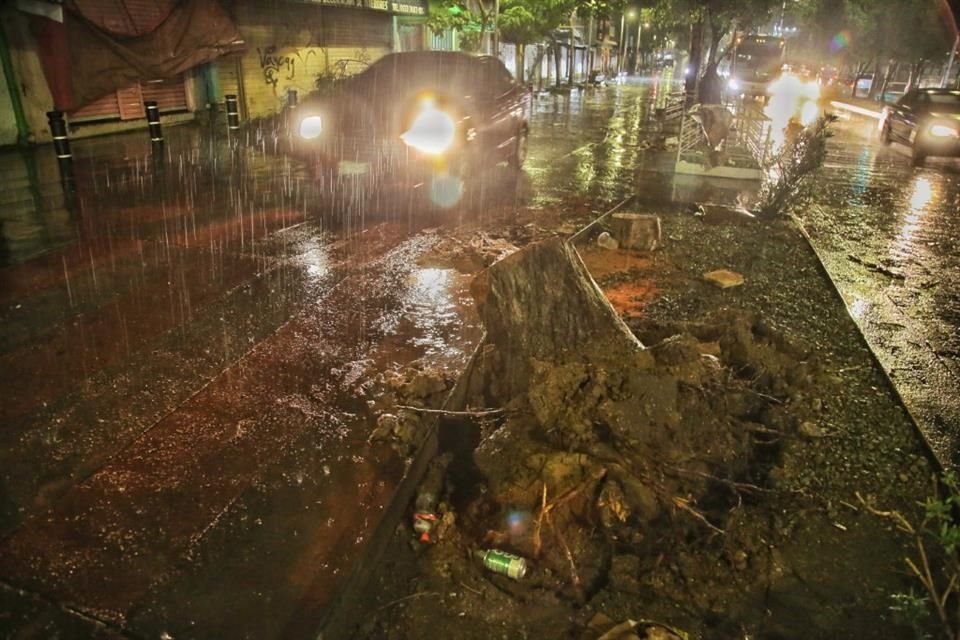 Ayer se registraron árboles y postes caídos, encharcamientos en la vía pública y el ingreso de agua en algunas casas.