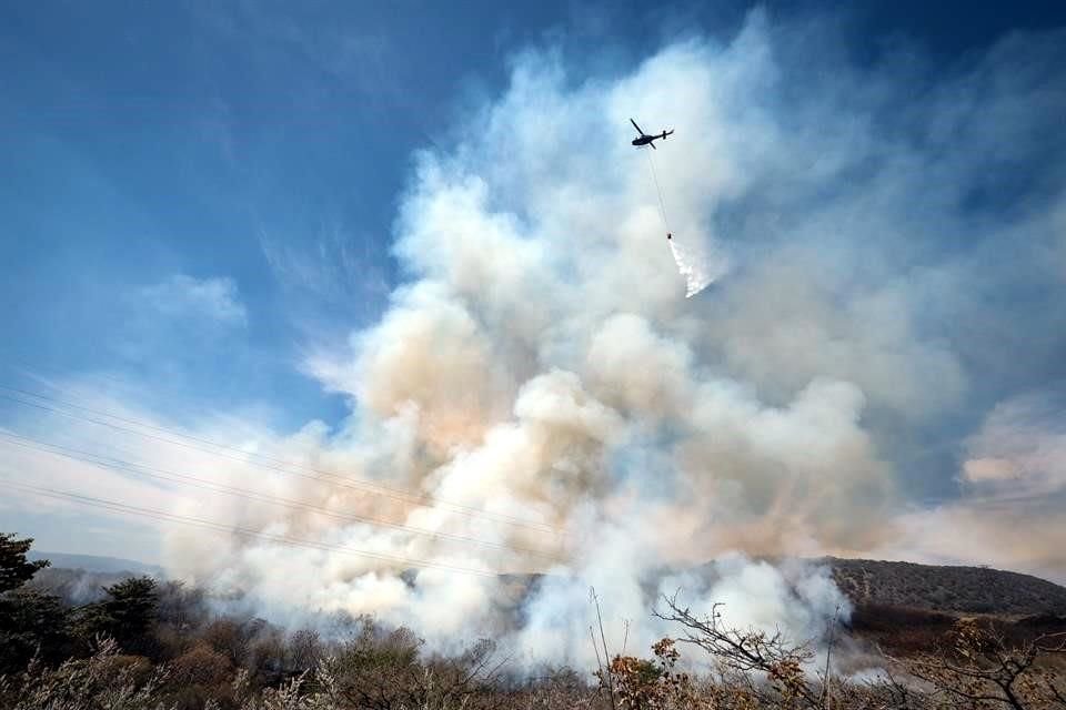Los incendios forestales afectaron lo equivalente a tres veces la superficie del Bosque La Primavera.