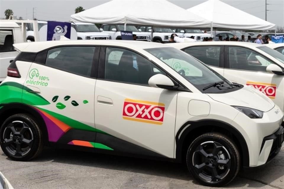 La cadena de tiendas Oxxo adquirió 15 vehículos eléctricos Dolphin Mini a la compañía china BYD.