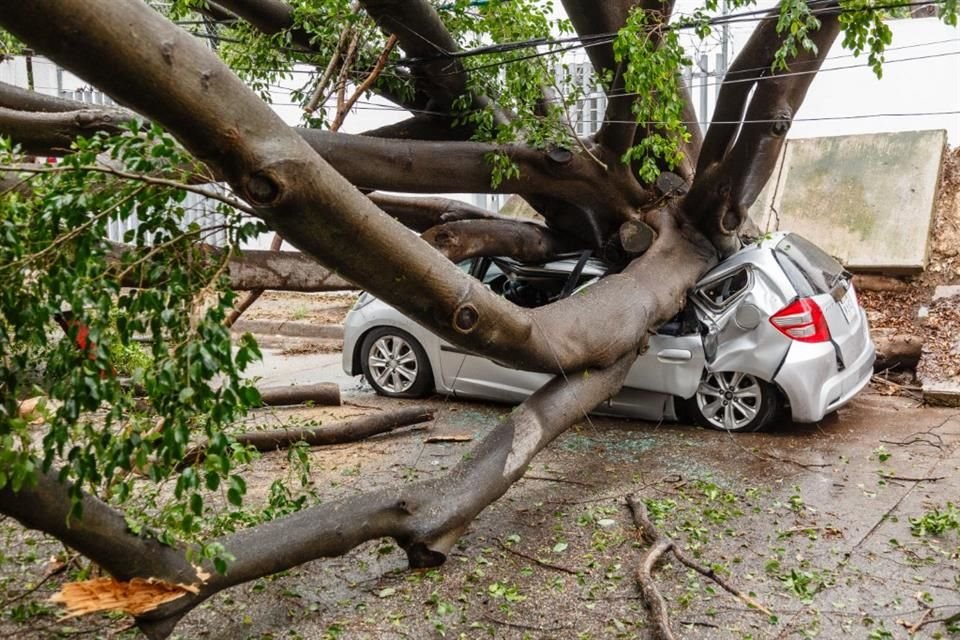 La lluvia de esta tarde afectó a varias zonas de la ZMG; en Zapopan hubo inundaciones y árboles caídos, varios autos se vieron 'golpeados'.