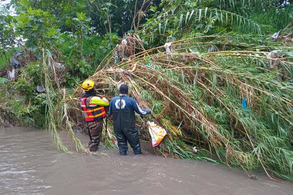 Participaron Bomberos de Tlajomulco, Brigada Forestal, Bomberos del Estado, Comisión Estatal de Búsqueda de Personas y Bomberos de Tlaquepaque.