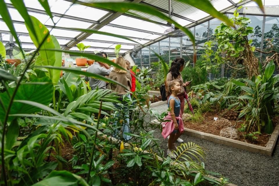 Inauguración del Jardín  Fernando González Gortázar con las plantas que el arquitecto cultivó y cuidó en vida.