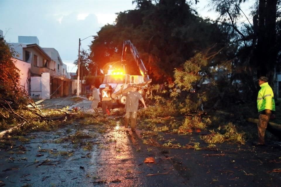 En la calle Santa Teresa de Jesús, en la Colonia Camino Real, Zapopan, un árbol cayó y jaló 5 postes de luz.