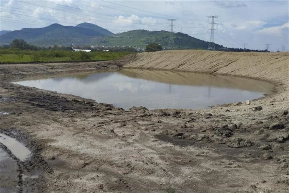 El sistema 'Keyline' para captar agua, desarrollado en el CUTlajomulco, ha rendido frutos en cultivos locales.