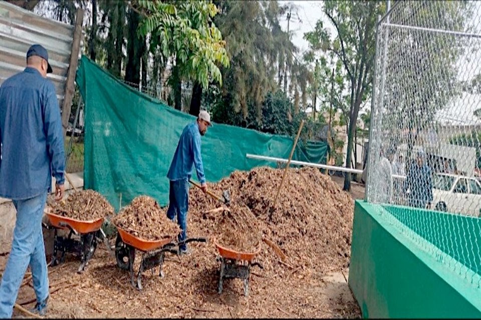 Aunque el Gobierno de GDL presumió estar trabajando para resarcir la tala de 300 árboles, vecinos del Parque San Rafael no ven claro.