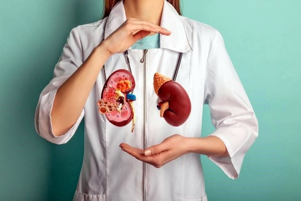 La insuficiencia renal provoca incapacidad de los riñones para seguir cumpliendo con su importante trabajo de desechar a través de la orina lo que el cuerpo no necesita.