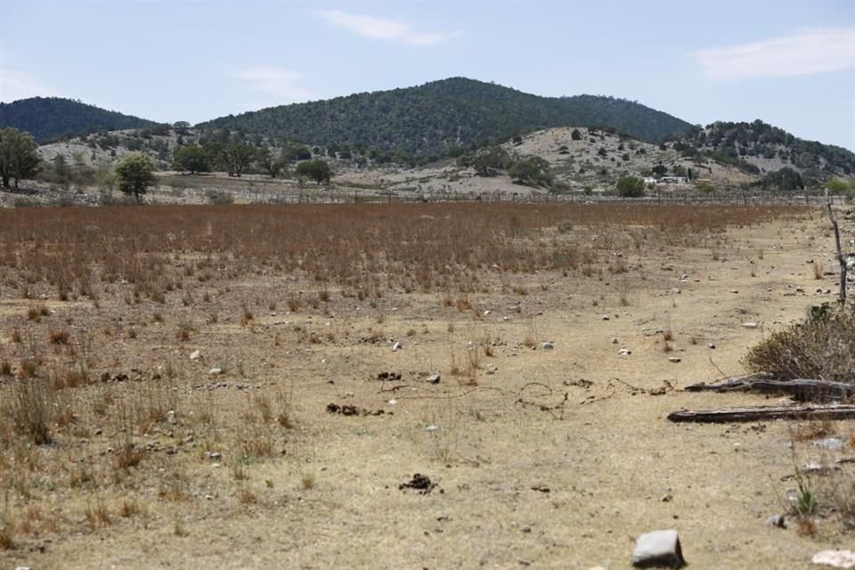 Inundaciones, sequía, escasez de alimentos y desaparición de zonas ganaderas, serán algunas consecuencia del cambio climático en Jalisco, en 2080, alertan, especialistas.