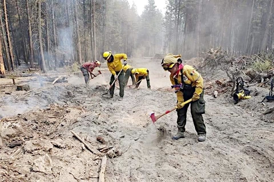 Incendios forestales en Jalisco.