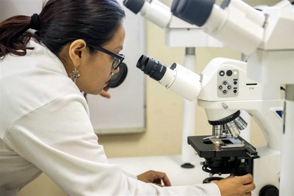 Con la presencia de exponentes nacionales e internacionales se llevará a cabo el Sexto Simposio en Ciencia e Ingeniería de los Materiales.