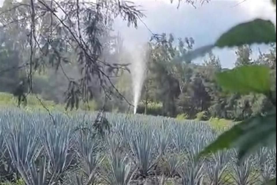 Una nueva fuga de gasolina se reportó esta tarde en Tololotlán, perteneciente al poblado de Puente Grande, en Tonalá.