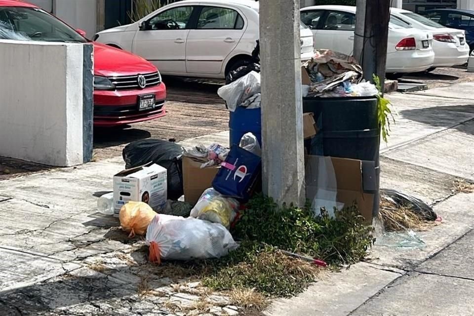 Desde hace una semana, el camión de basura no pasa por Providencia Sur.