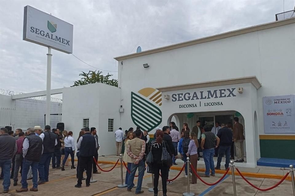 Segalmex