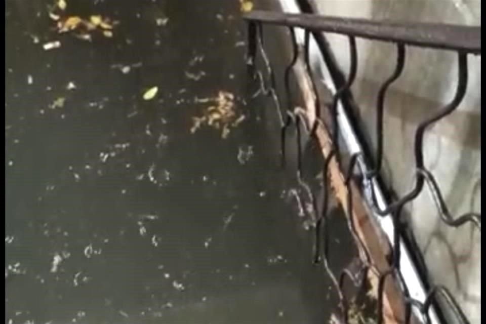 Según los desarrolladores, no habría inundaciones en esa parte del edificio, pues había bombas. El 8 de julio no sucedió lo que prometieron.