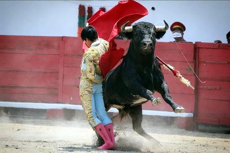 El joven lució en el ruedo.