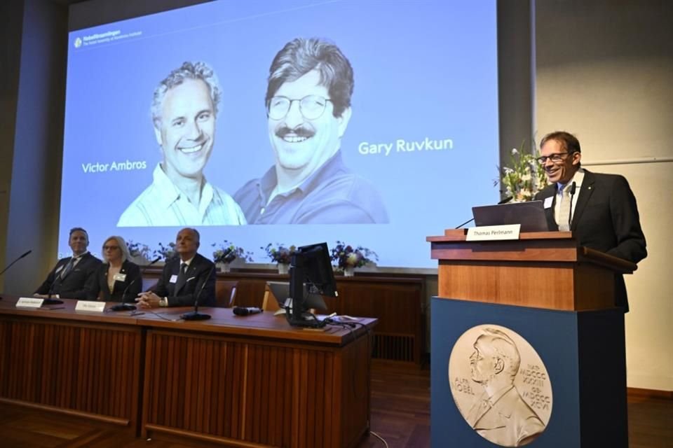 El presidente del Comité del Nobel, Thomas Perlmann, anunció que Victor Ambros y Gary Ruvkun ganaron el Nobel de Medicina de este año, durante una conferencia en el Instituto Karolinska de Estocolmo.