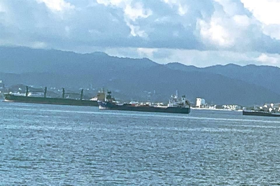 La llegada de buques y salida por tierra de mercancías es un tormento en el Puerto de Manzanillo.