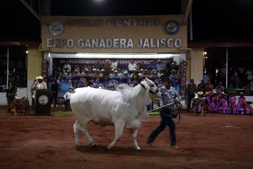 Este 10 de octubre arrancó la Expo Ganadera Jalisco 2024, uno de los eventos agropecuarios más importantes del País, que espera recibir a más de 500 mil visitantes.