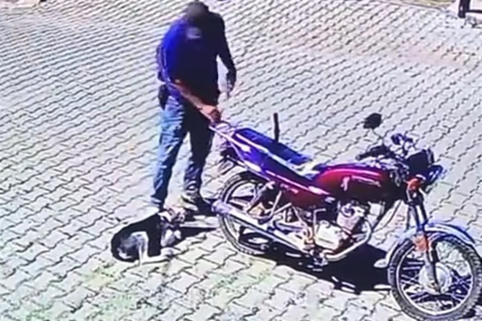 Se inició indagatoria por maltrato animal, tras difundirse video de un  hombre que arrastró a un perro con una moto, en Ixtlahuacán del Río.