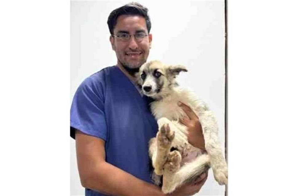 El perro se encuentra en resguardo y en buen estado de salud.