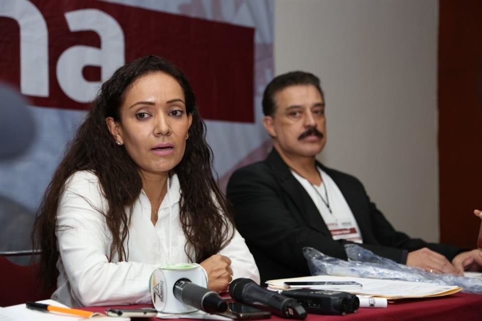 Para relevar a la diputada Katia Castillo se celebrará una sesión del Consejo Político, que preside el senador Carlos Lomelí.