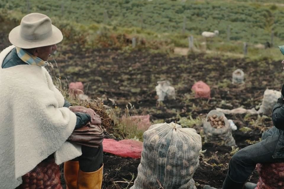 El documental Sumercé es uno de los tres que se proyectarán este sábado en el Cine Cabañas.