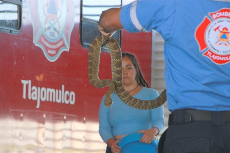 La Unasam de Tlajomulco ofrece sus servicios a toda la ZMG en el rescate y reubicación de fauna silvestre.