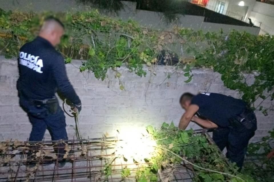 El dueño de una de las casas cercanas a donde cayó el hombre, se percató del incidente y llamó a autoridades para pedir ayuda.