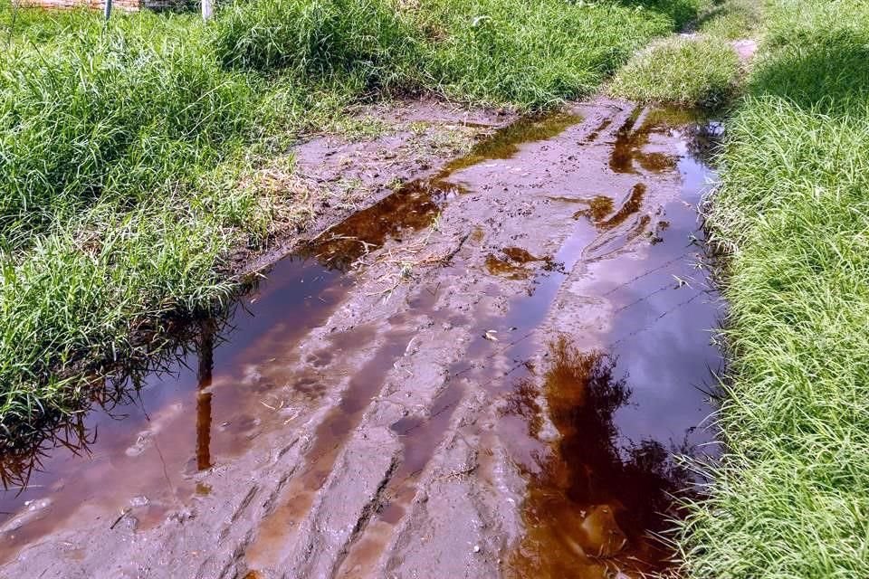 Incumplir con medidas para un abandono seguro del basurero metropolitano Laureles, podría salirle caro a la empresa Caabsa.