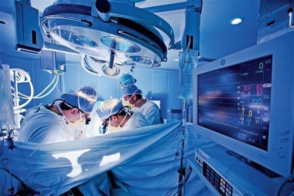 La mayor esperanza de tratamiento para estas enfermedades es el trasplante de células progenitoras hematopoyéticas, que se extraen de la médula ósea, sangre periférica o de cordón umbilical.