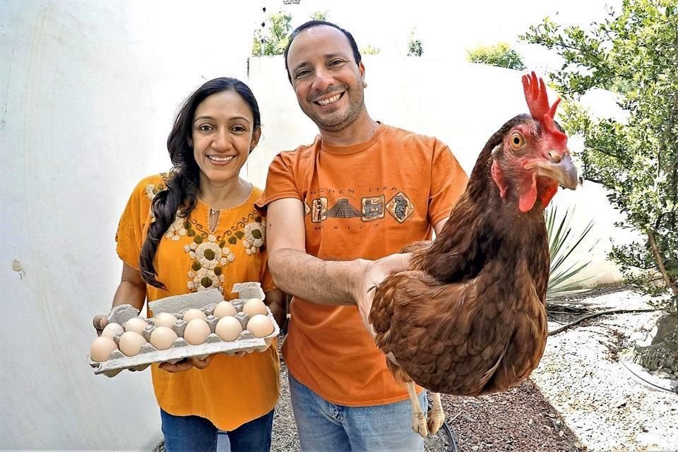 Chicaleta es la mascota de Hayde Alonso y Quetzal García desde hace dos años.