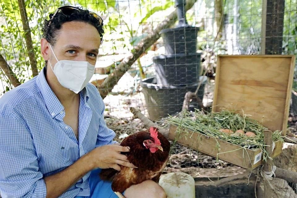 Las gallinas de Javier Serrano le proporcionan huevos naturales para que se alimente su familia.