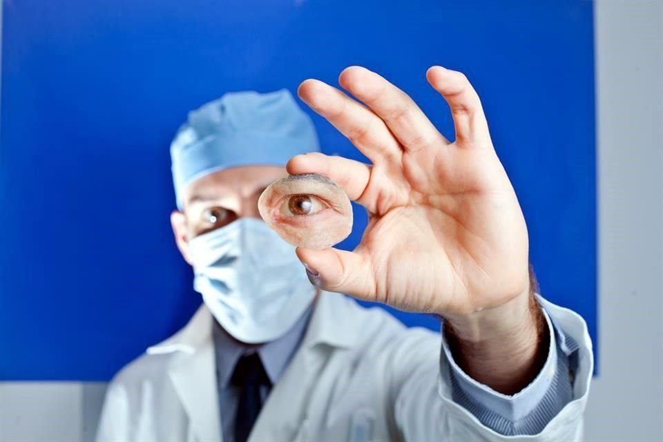 Abogados, contadores, arquitectos, ingenieros y personal de salud tienen prohibido laborar sin tener cédula profesional en Jalisco.