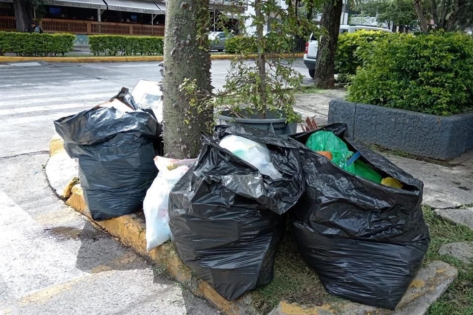 Tras adquirir 160 camiones, el Ayuntamiento de GDL contratará personal para operar el servicio de recolección domiciliaria de basura.