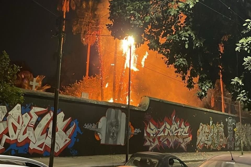 Uno de los reportes fue en el Panteón de Mezquitán, donde una palmera que da a Avenida de los Maestros, se incendió.