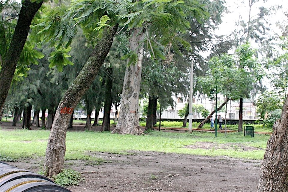 Vecinos reportan que autoridades de GDL no plantaron el total de árboles a los que estaban obligados en el Parque San Rafael.