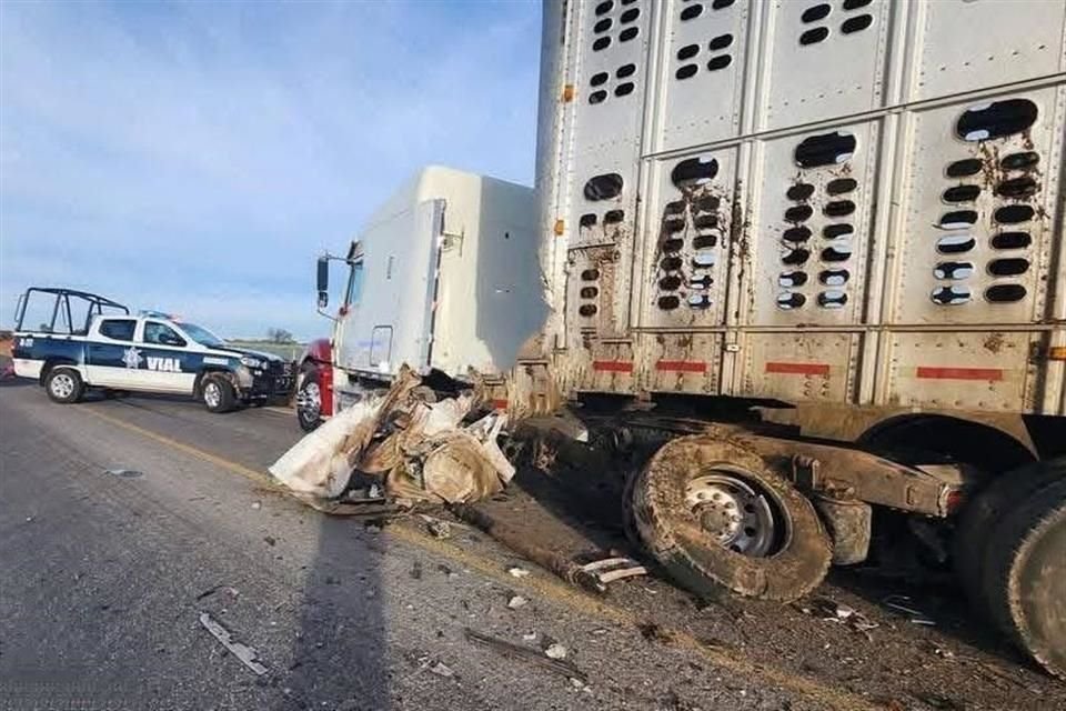 Un aparatoso choque entre un auto particular y un tráiler cargado de cerdos dejó cuatro muertos, en la Carretera Arandas- Martínez Valadez.